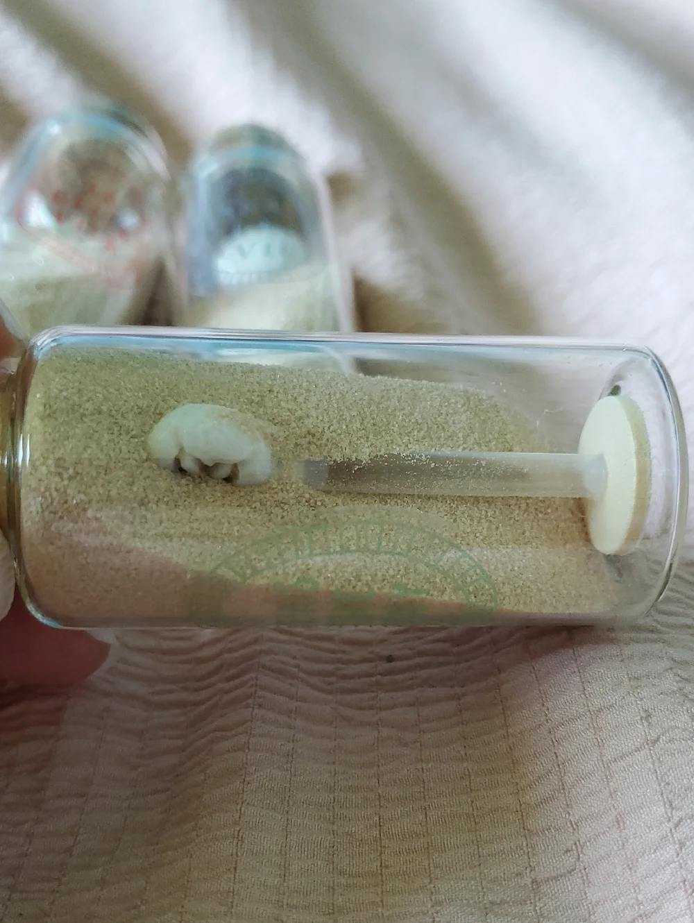 Bullseye Playground Message On A Bottle Beach Sand And Shell Mini Decorative